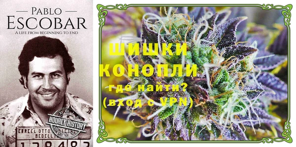 бошки Протвино