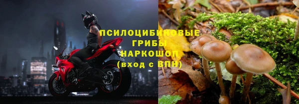 дурь Баксан