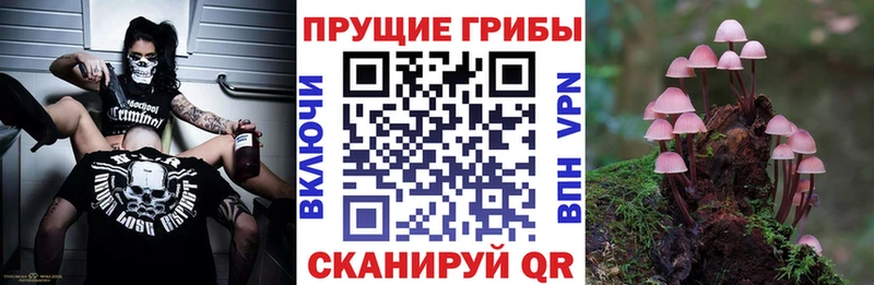 Псилоцибиновые грибы ЛСД  как найти закладки  Валдай 