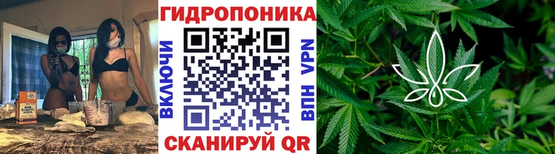 Шишки марихуана Ganja  Валдай 